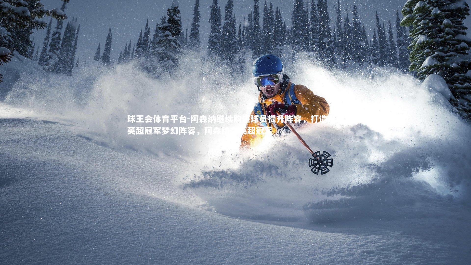 球王会体育平台-阿森纳继续购进球员提升阵容，打造出守英超冠军梦幻阵容，阿森纳夺英超冠军